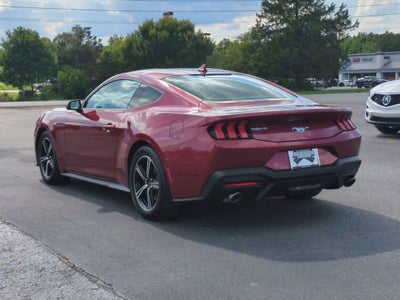 2025 Ford Mustang EcoBoost