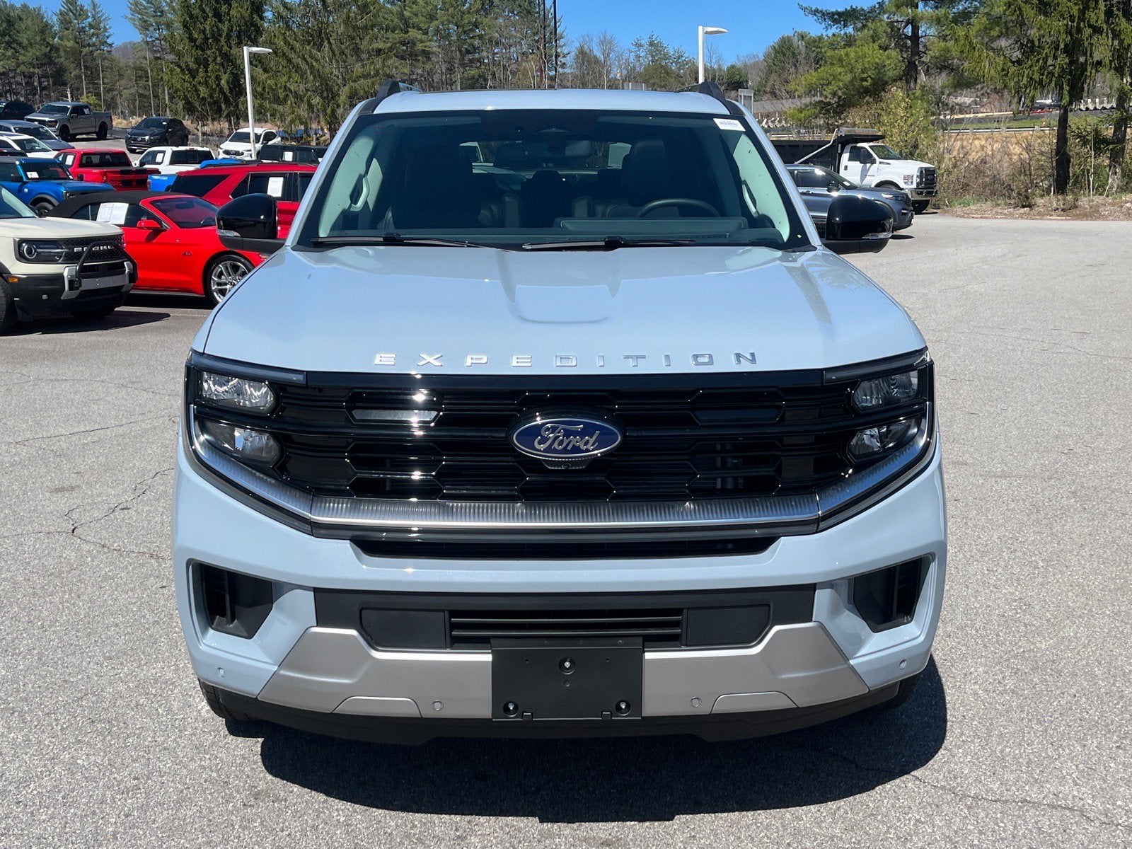 2026 Ford Expedition Platinum