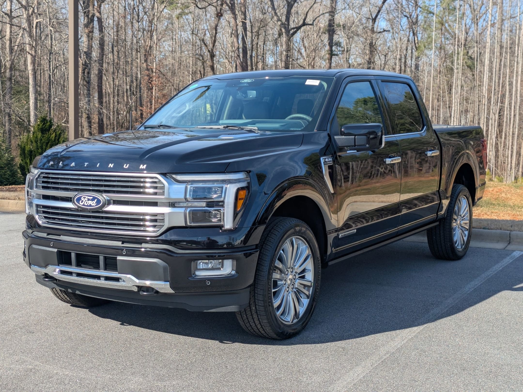2025 Ford F-150 Platinum