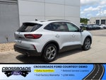 2025 Ford Escape ST-Line - Crossroads Courtesy Demo