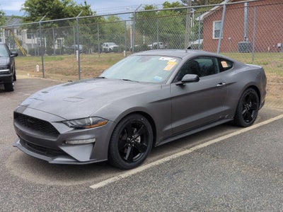 2023 Ford Mustang EcoBoost