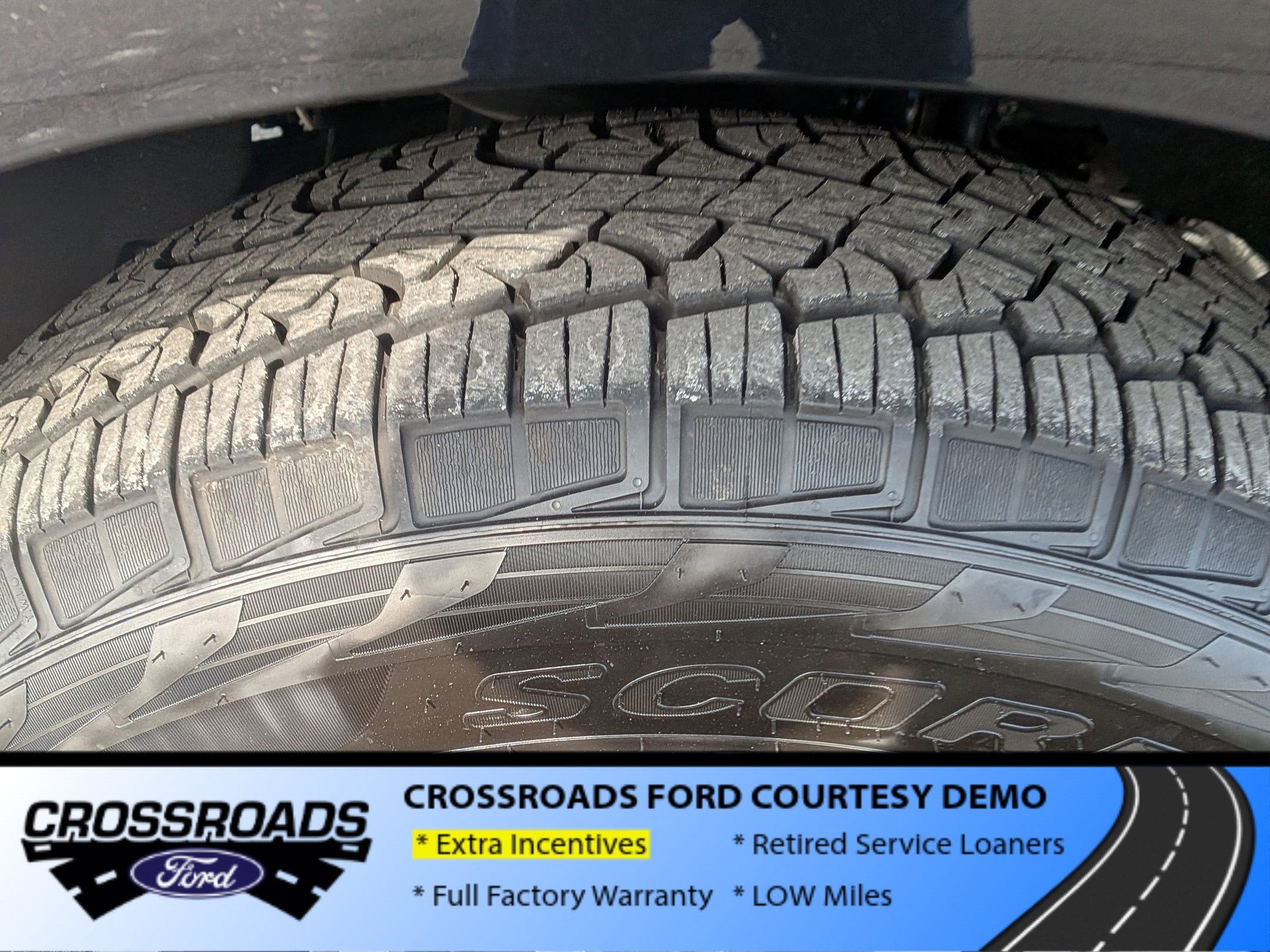 2025 Ford Expedition Active - Crossroads Courtesy Demo