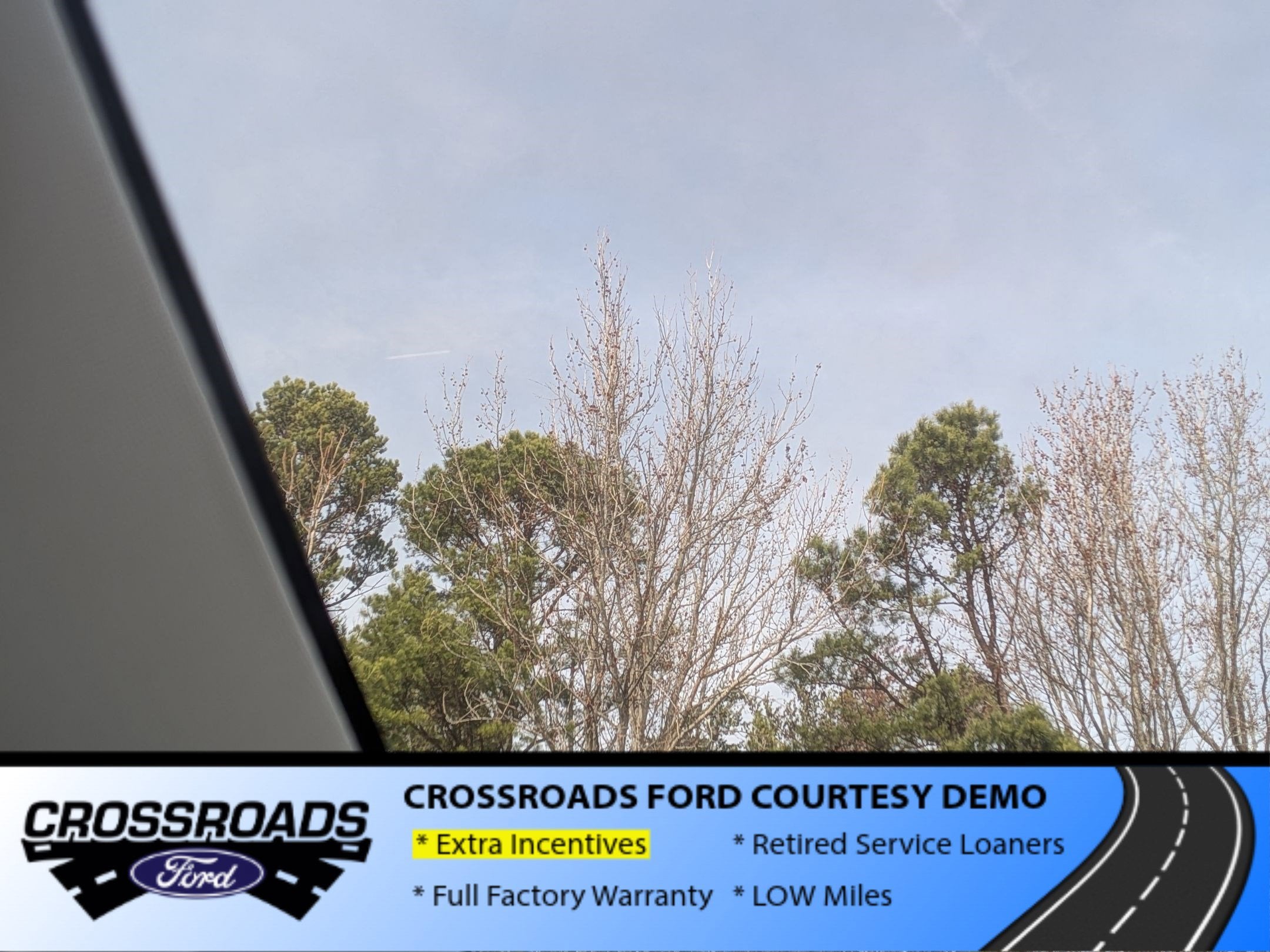 2025 Ford Expedition Active - Crossroads Courtesy Demo