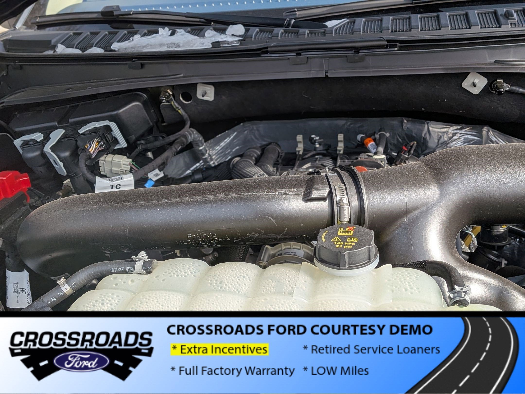 2025 Ford Expedition Active - Crossroads Courtesy Demo