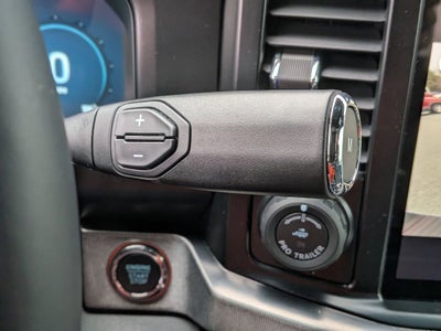 2026 Ford Super Duty F-250 SRW Platinum Tremor