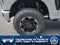 2026 Ford Super Duty F-250 SRW Platinum Tremor
