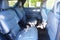 2027 Ford Explorer Active w/200A Pkg
