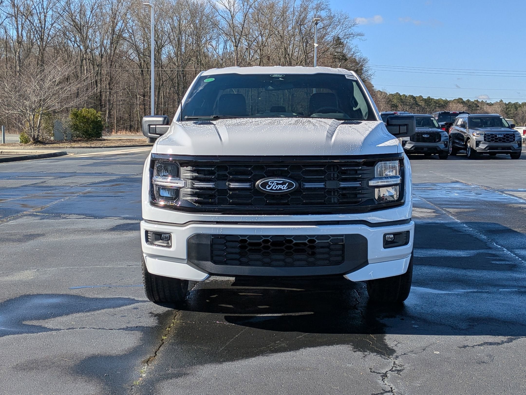 2026 Ford F-150 STX - LOBO
