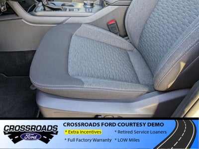 2025 Ford Ranger XLT - Crossroads Courtesy Demo