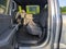 2026 Ford F-150 XLT - Crossroads Courtesy Demo
