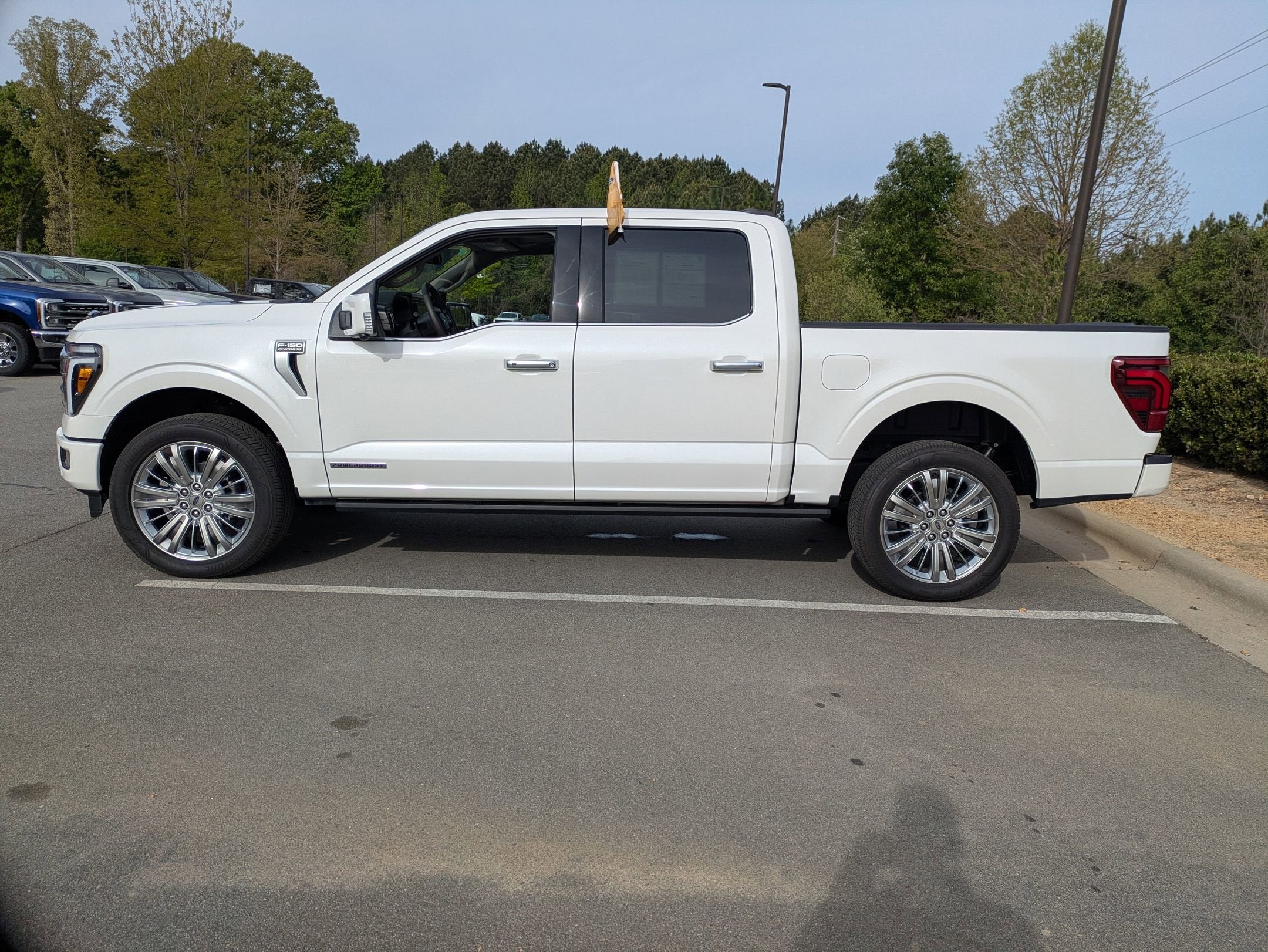 2025 Ford F-150 Platinum