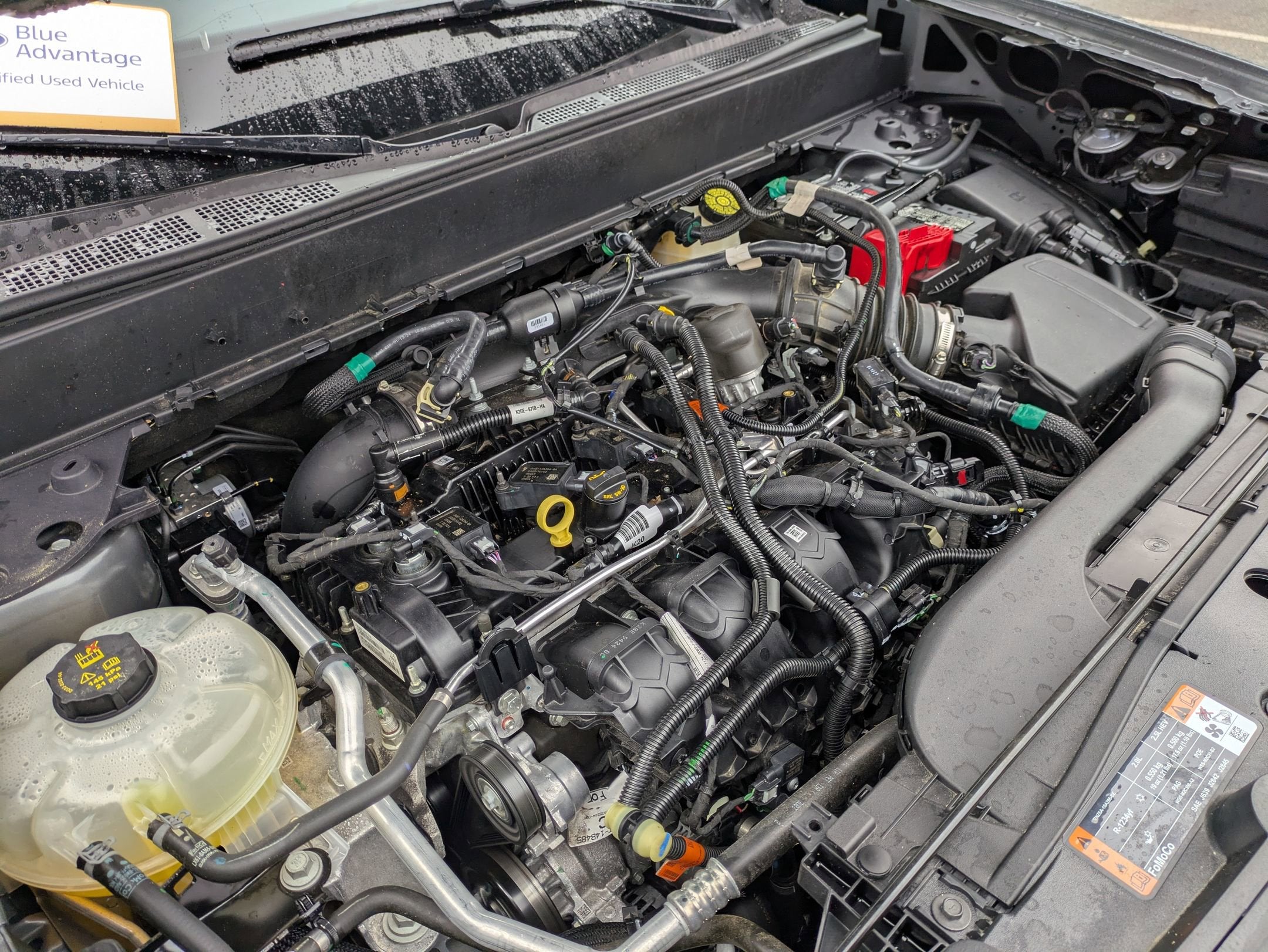 2024 Ford Maverick XLT