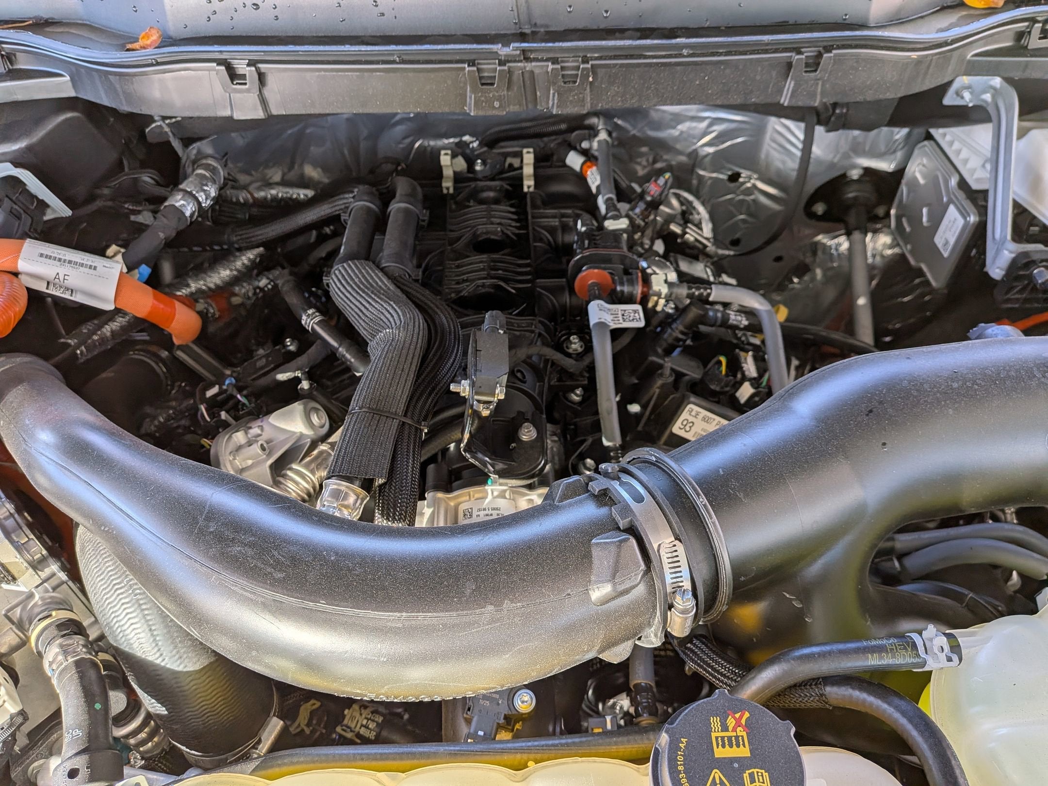 2025 Ford F-150 XLT - Crossroads Courtesy Demo